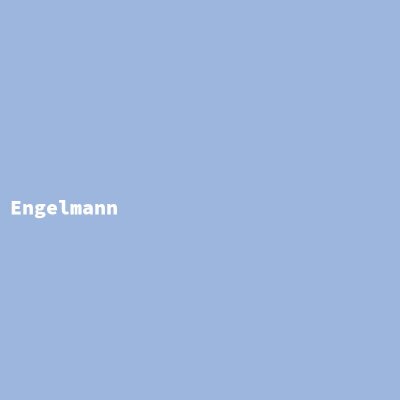 Hersteller: Engelmann