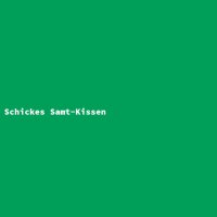 Schickes Samt-Kissen