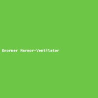 Enormer Marmor-Ventilator